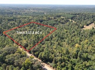 TBD Texas 43, Bivins, TX 75555