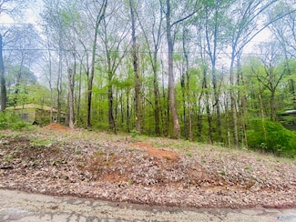 12466 Beech Fork Ln, Athens, AL 35611
