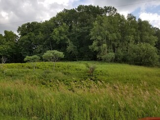0 E Lincoln Creek Rd Unit 19035782, Luther, MI 49656