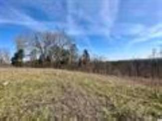 Tract 4 Ramblewood Trail, Yellville, AR 72687