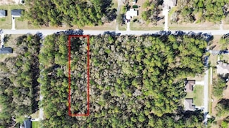 TBD SW 54th St, Dunnellon, FL 34431