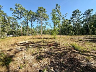 0 NW 157th Ave, Williston, FL 32696