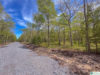 Lot 567 Cross Run Rd, Penn Forest Township, PA 18229