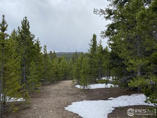 0 Forest Service 169 Rd Unit RECIR1011553, Red Feather Lakes, CO 80545