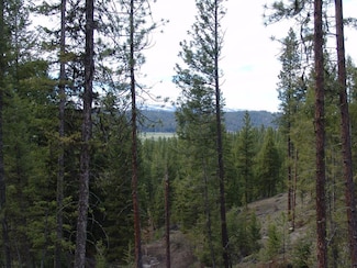 L6 B2 San Ignacio Way Unit 6, Cascade, ID 83611