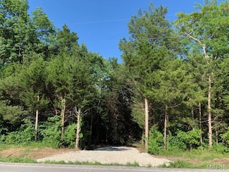 6360 State Road B, Hillsboro, MO 63050