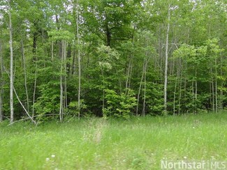 L4, B3 Cardarelle Cir, Hackensack, MN 56452