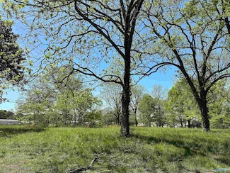 01 Highway 231, Laceys Spring, AL 35754