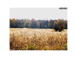 Parcel C Garver Rd, Litchfield, OH 44253