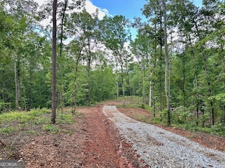 4.09 Yancy Dr, Dawsonville, GA 30534