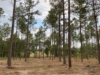 21 ac Farm To Market 95, Garrison, TX 75946