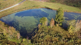 0 William Warren Rd Unit 25384393, Collins, MS 39428