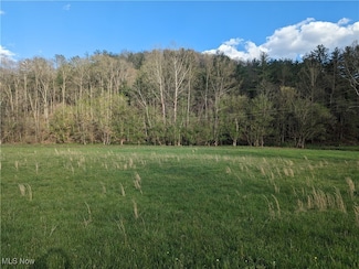 1989 Charleston Rd, Spencer, WV 25276