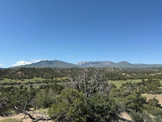 25 Colorado Land and Grazing, Gardner, CO 81040