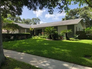 825 Village Way, Palm Harbor, FL 34683