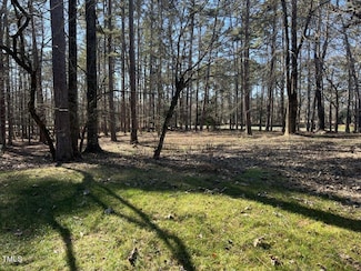 124 Coggins Mine, Eldorado, NC 28127
