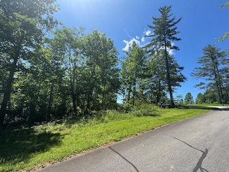 Lot 3A/B Tranquil Pointe Ln, Hiawassee, GA 30546
