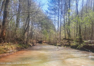 0 Wolf Creek Rd, Carbon Hill, AL 35549