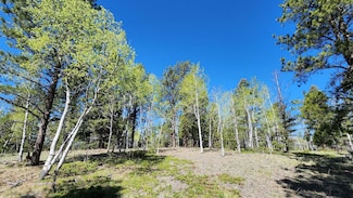 2095 County Road 512, Divide, CO 80814