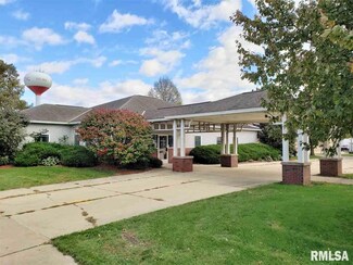 101 S Galena Ave, Wyoming, IL 61491