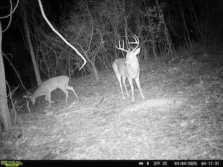 W Atkinson Ave, Pittsburg, KS 66762