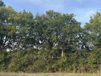 1447 Farm To Market Road 713, Lockhart, TX 78644