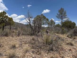 Lot 22 Milton Rd Unit 22, Timberon, NM 88350