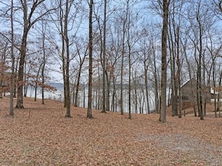 Lot 11 Cornelius Cove, Cherokee, AL 35616