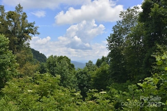 999 Red Wolf Run Unit 48, Mars Hill, NC 28754