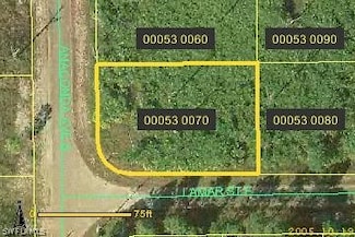 821 Anaconda Ave S, Lehigh Acres, FL 33974