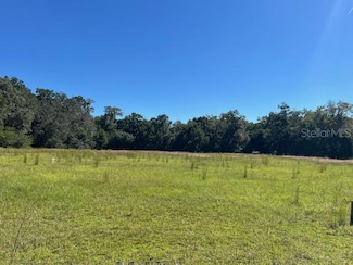 0 N Hwy 441 Unit MFROM711308, Citra, FL 32113