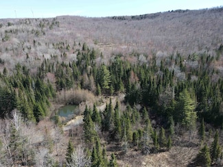 796 New Duck Pond Rd, Sheffield, VT 05866
