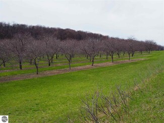 2489 N Setterbo Rd, Suttons Bay, MI 49682