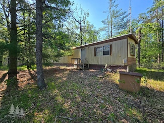 3229 Nesslewood Rd, Lewiston, MI 49756