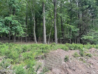 0 Hemlock Springs Dr, Briar Creek Township, PA 18655