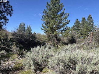 0 Lakeland Rd Unit 17 178896656, Chiloquin, OR 97624