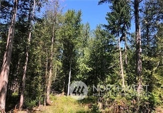 21800 70th Ave E, Spanaway, WA 98387