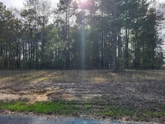 0 Doctors Point Rd Unit 196635, Abbeville, AL 36312