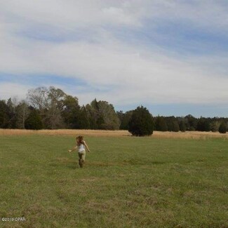 2669 Bruner Dairy Rd, Vernon, FL 32462
