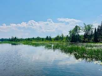 0 Macey Ln Unit 201835663, Alpena, MI 49707