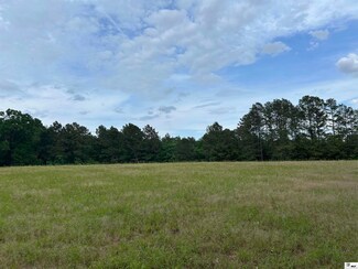 315 Sugar Hill Rd, Point, LA 71234