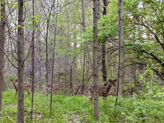 Lot 254 W Ottowa St, Union Township, IN 47933