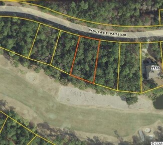 Lot 304 Wallace Pate Dr, Georgetown, SC 29440