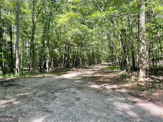 561 Witcher Rd, Newnan, GA 30263