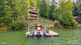 310 Cove Ridge Ln, Butler, TN 37640
