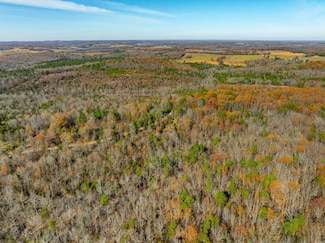 0 Peter Martin Hill Rd Unit 25022697, Cave City, AR 72521