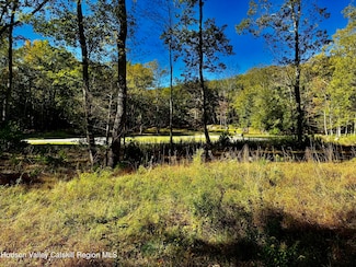 86 Falling Waters Dr, Palenville, NY 12463