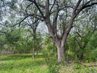 0 County Road 4425, Dilley, TX 78017