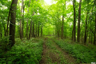0000 W Timber Rd, Mapleton, IL 61547