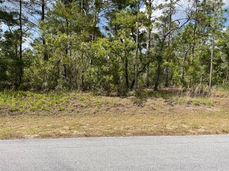 LOTS 29, 30 SW Anchor Blvd, Rainbow Lakes Estates, FL 34431